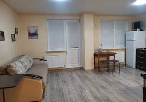 1-к квартира, на длительный срок, 23м2, 7/16 этаж