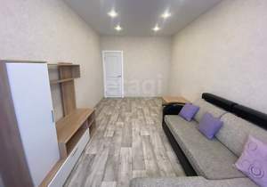 1-к квартира, на длительный срок, 38м2, 7/24 этаж