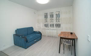 1-к квартира, на длительный срок, 35м2, 5/9 этаж