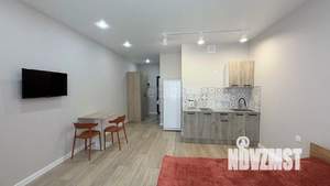 Студия квартира, на длительный срок, 29м2, 11/24 этаж