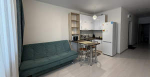 Студия квартира, на длительный срок, 30м2, 14/24 этаж