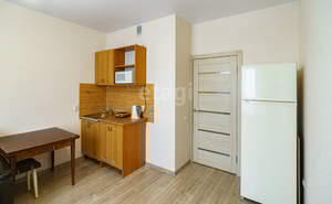 Студия квартира, на длительный срок, 22м2, 15/24 этаж