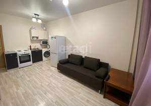 Студия квартира, на длительный срок, 22м2, 23/24 этаж