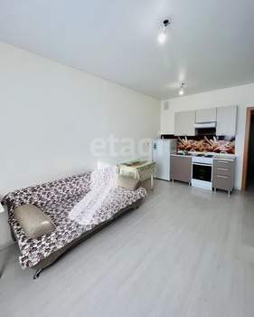Студия квартира, на длительный срок, 22м2, 7/24 этаж