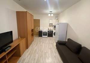 Студия квартира, на длительный срок, 22м2, 23/24 этаж