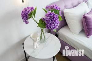 1-к квартира, посуточно, 30м2, 24/24 этаж