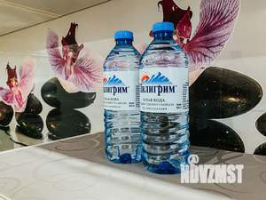 1-к квартира, посуточно, 30м2, 7/10 этаж