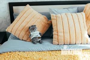 2-к квартира, посуточно, 58м2, 6/9 этаж