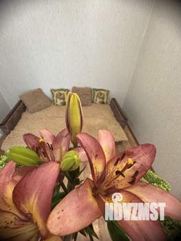 1-к квартира, посуточно, 30м2, 5/9 этаж