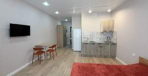 Студия квартира, на длительный срок, 29м2, 11/24 этаж