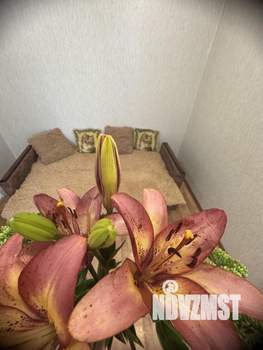 1-к квартира, посуточно, 30м2, 5/9 этаж