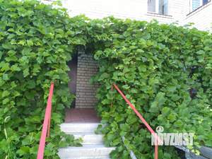 1-к квартира, на длительный срок, 40м2, 2/3 этаж