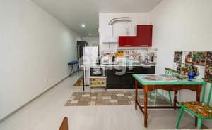 Студия квартира, на длительный срок, 32м2, 15/24 этаж