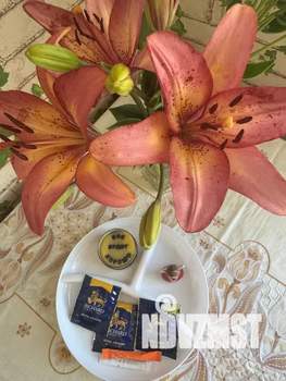 1-к квартира, посуточно, 30м2, 4/10 этаж