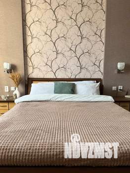 1-к квартира, посуточно, 48м2, 2/3 этаж