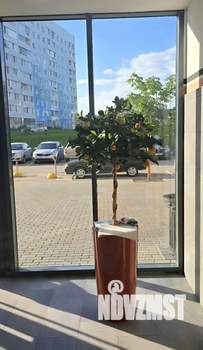 1-к квартира, на длительный срок, 37м2, 16/24 этаж