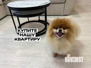 3-к квартира, вторичка, 65м2, 8/9 этаж