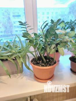 1-к квартира, вторичка, 30м2, 2/5 этаж