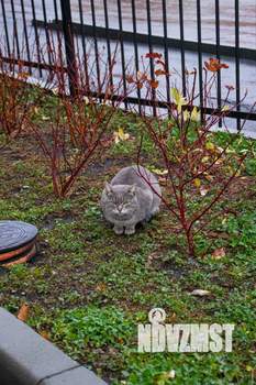 3-к квартира, вторичка, 104м2, 2/7 этаж