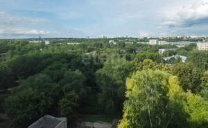 1-к квартира, вторичка, 29м2, 9/9 этаж