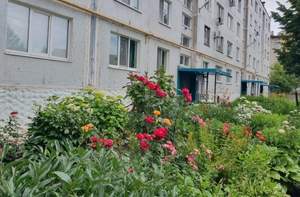 2-к квартира, вторичка, 50м2, 3/5 этаж