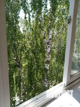1-к квартира, вторичка, 30м2, 5/5 этаж