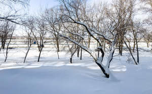 2-к квартира, вторичка, 46м2, 2/5 этаж