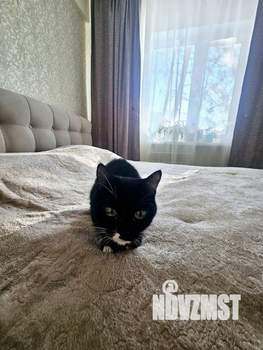 2-к квартира, вторичка, 42м2, 1/5 этаж