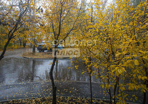 1-к квартира, вторичка, 35м2, 1/10 этаж